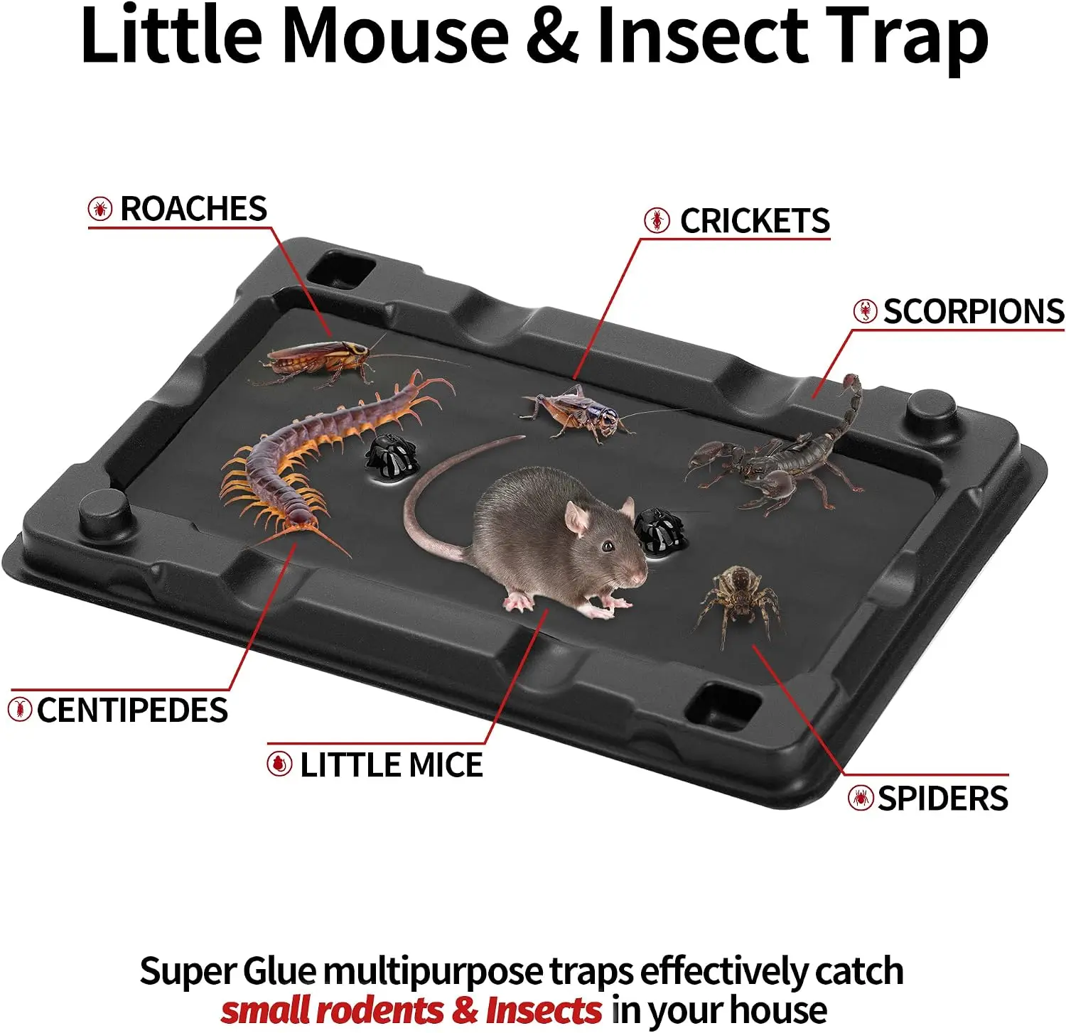 LULUCATCH Mouse & Insect Traps 12 Pack, Heavier Sticky Traps with Non-Toxic Glue for Small Mice & Insects. Sticky Mouse Traps Indoor for Home, Easy to Set