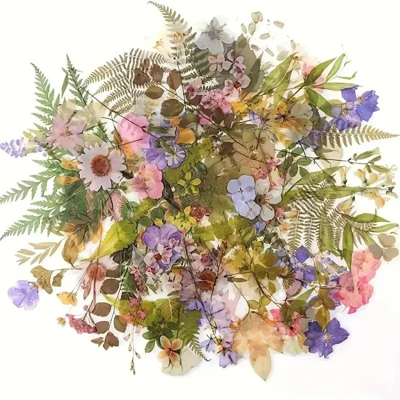 Mixed Color Floral and Plant Sticker, Decorative Stickers, 40pcs/set Self-adhesive Plastic Decal, Irregular Shape Flower Stickers for Scrapbooking, Journaling, Art Crafts, DIY Projects, Scrapbook Accessories, Decoration Sticker