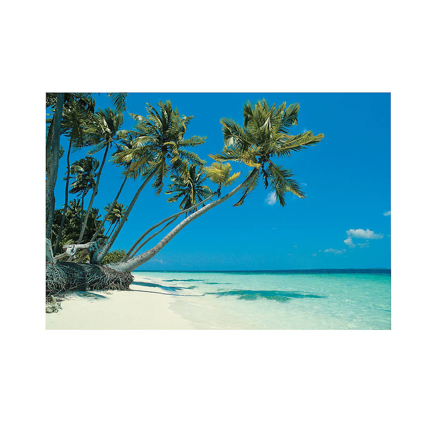 8x6ft Tropical Beach & Palm Trees Polyester Photo Backdrop Decoration Set, Baby & Maternity Event Wall Banner, Easy Assembly, Flat Storage, Vibrant Island-Themed Decor, Lightweight for Birthday Beach Bash