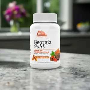 Fermented Turmeric Powder Capsules - 120 capsules