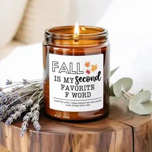 Funny Fall Candle, Fall is My Favorite F Word, Pumpkin Spice Soy Candle, Best Friend Gift, Fall Decoration, Fall Lover, Fall Soy Candle