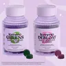 Daily Debloat Bundle - Lemme Greens & Lemme Debloat Gummies, Superfood Greens Gummies + Digestive & Gut Health Gummies with Clinically-Studied LactoSpore & DE111 Probiotics