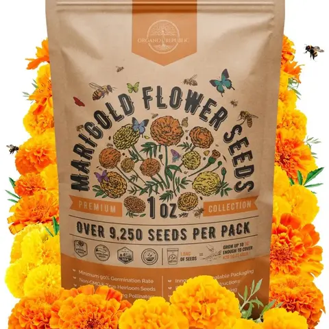 Marigold Seeds Pack - Non-GMO Heirloom Marigold Seeds for Planting Indoor & Outdoor Gardening, Flower Seed for Planting Home and Garden, Flowers Seed in Individual Packet