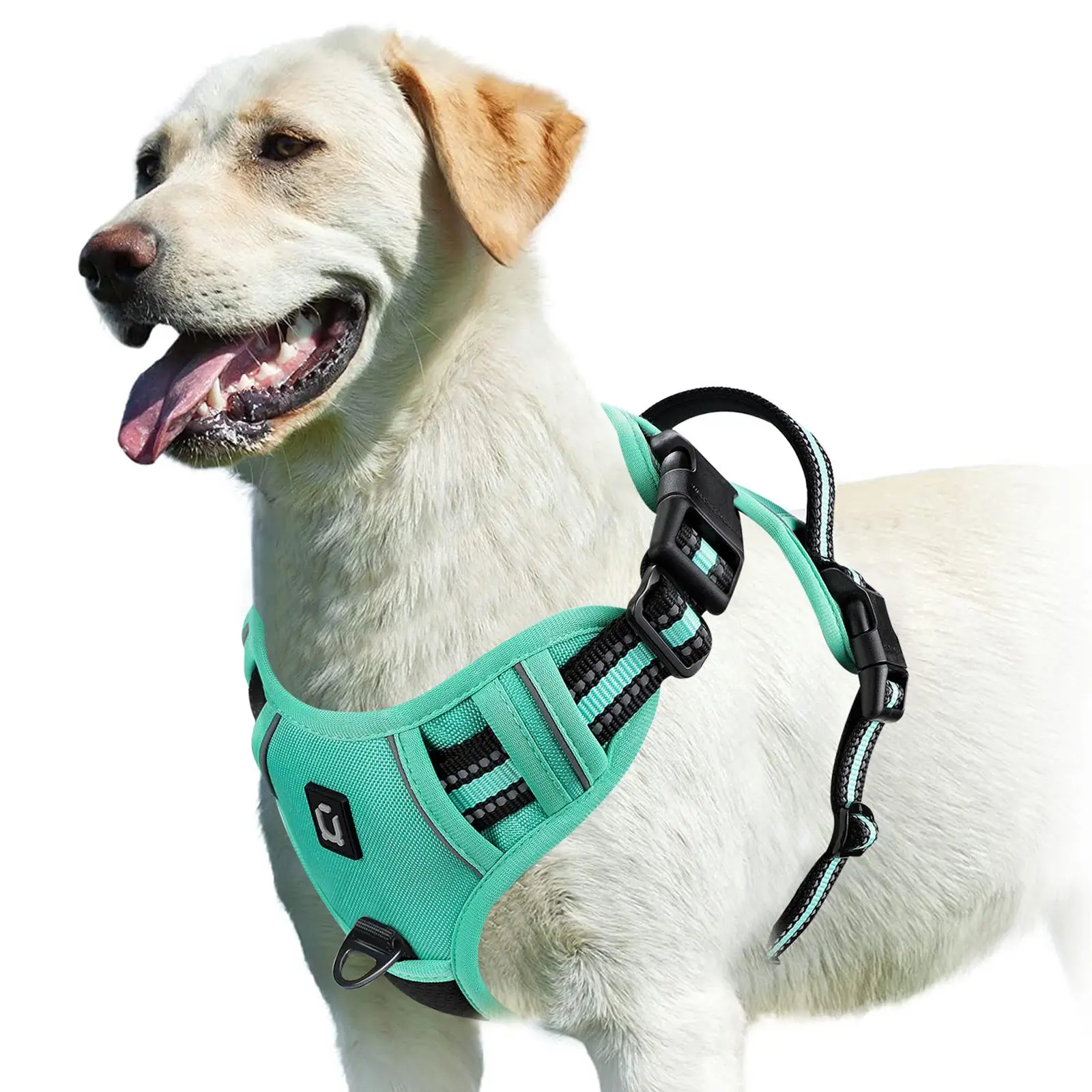 Dog Harness, No-Pull Pet Harness with 2 Leash Clips, Adjustable Soft Padded Dog Vest, Reflective No-Choke Pet Oxford Vest with Easy Control Handle for
