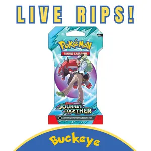 Journey Together Sleeved pack battle partner violet