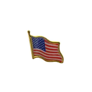 Flag Lapel Pin Astd