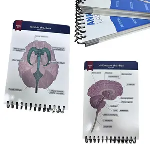 Anatomical Structure Labeling Exercise Book over 100 Full-Color Dry Erase Pages, Learning Human Anatomy Terms and Illustrations, Teaching Supplies