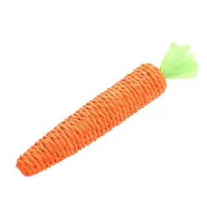 Indoor Cat Interactive Toy Carrot Shape, Single Piece, Teething Relief for Kittens, Dental Care for Adult Cats, Durable Chew Toy