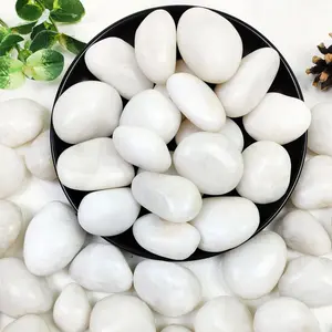 20lbs White River Rocks, 1-2 Inch  Pebbles for Indoor , High Polished Decorative Stones Vase Filler Fish Tank Aquariums Landscaping Garden Outdoor and Indoor DIY