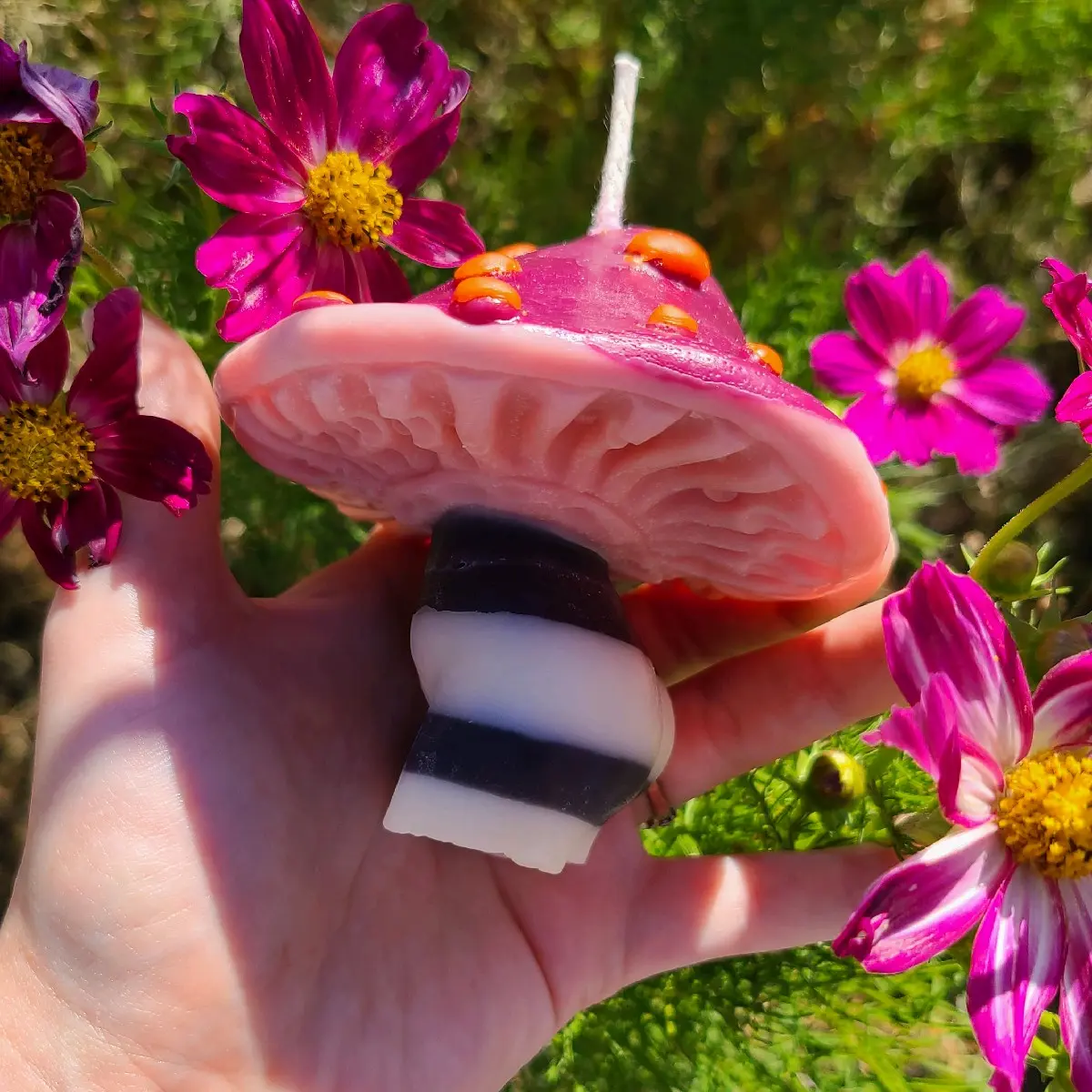 Blueberry Mushroom Candle