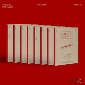 Stray Kids Mini Album [MAXIDENT] - Paper Case, Photo Book, CD-R, Lyrics Paper, Photocard, Unit Mini Folded Poster - Total 8 Items