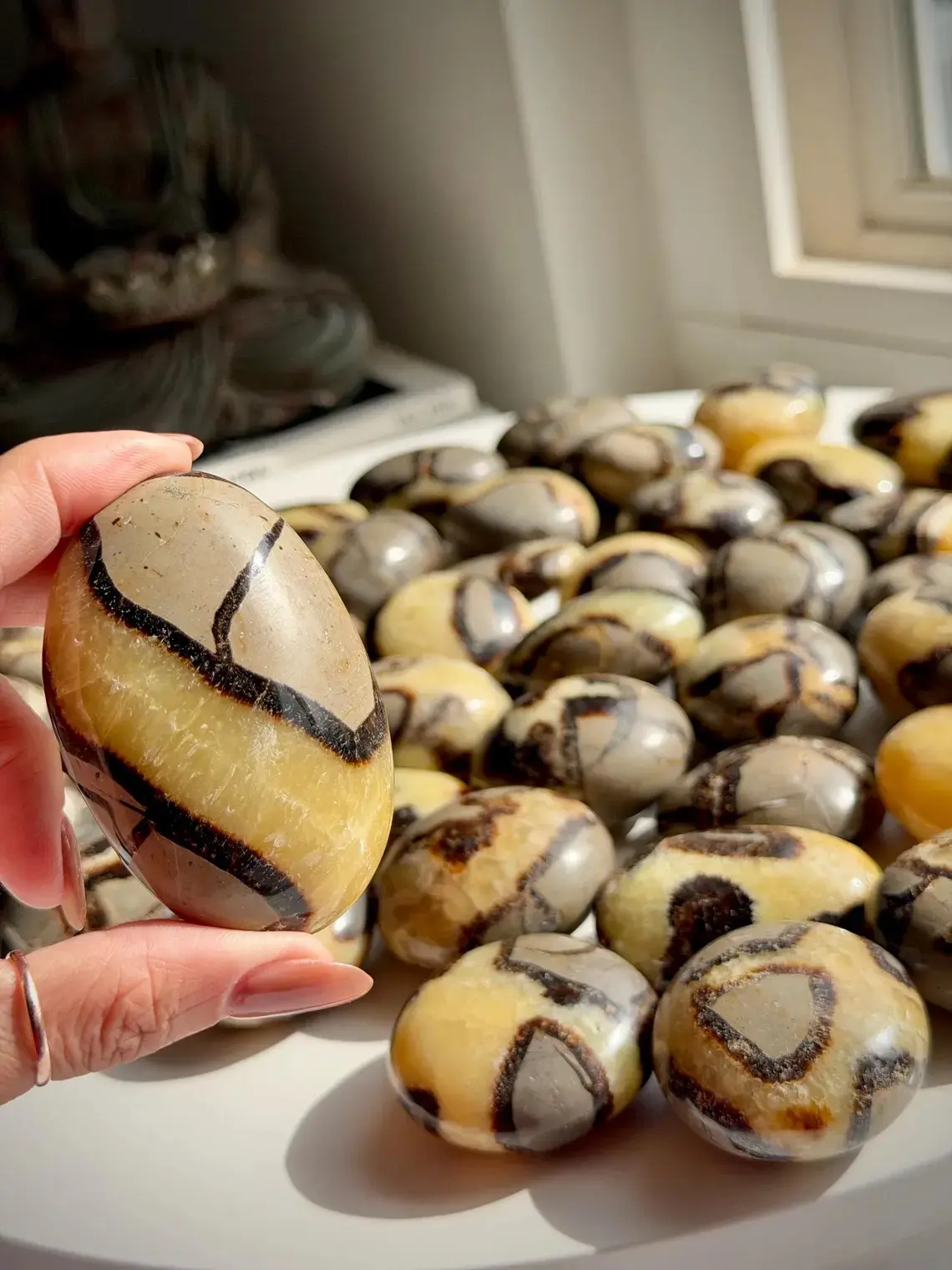 Septarian (Dragon Stone) Palm Stones - Choose Your Sign