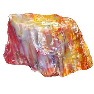 Rainbow Petrified Wood Chunks Polished - Arizona