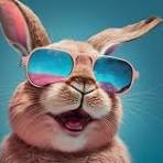 TOPBUNNY OUTLETS