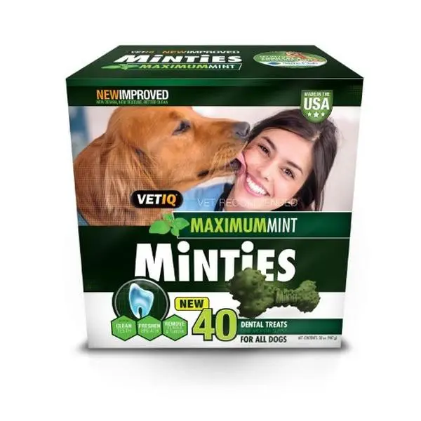 VetIQ Minties Dog Dental Bone Treats, Dental Chews for Dogs