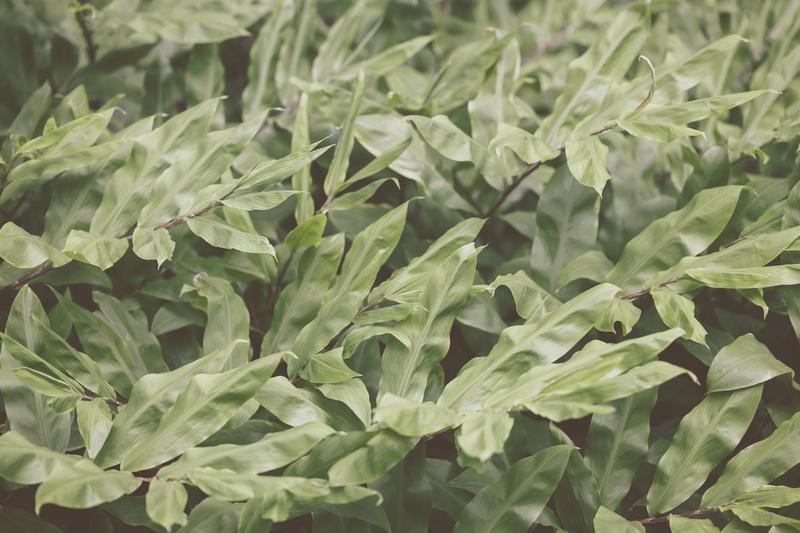 HydraSoft Conditioner Moisture Hydrating