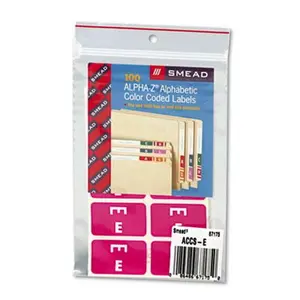 Smead 67175 Alpha-Z Color-Coded Second Letter Labels- Letter E- Purple- 100/Pack