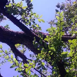 Product Review of Auto Focus Digital Camera, 1 Count Full HD 1080P/48MP Mini with 32G Memory Card, Ff (F/3.2, f=7.36mm), 16x Zoom for Teenagers Beginners, Mini Camera, Electronic Portable Camera from ** ☆**