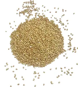 Organic Buckwheat Groats Hulled, Non-GMO, Raw, Vegan, Bulk