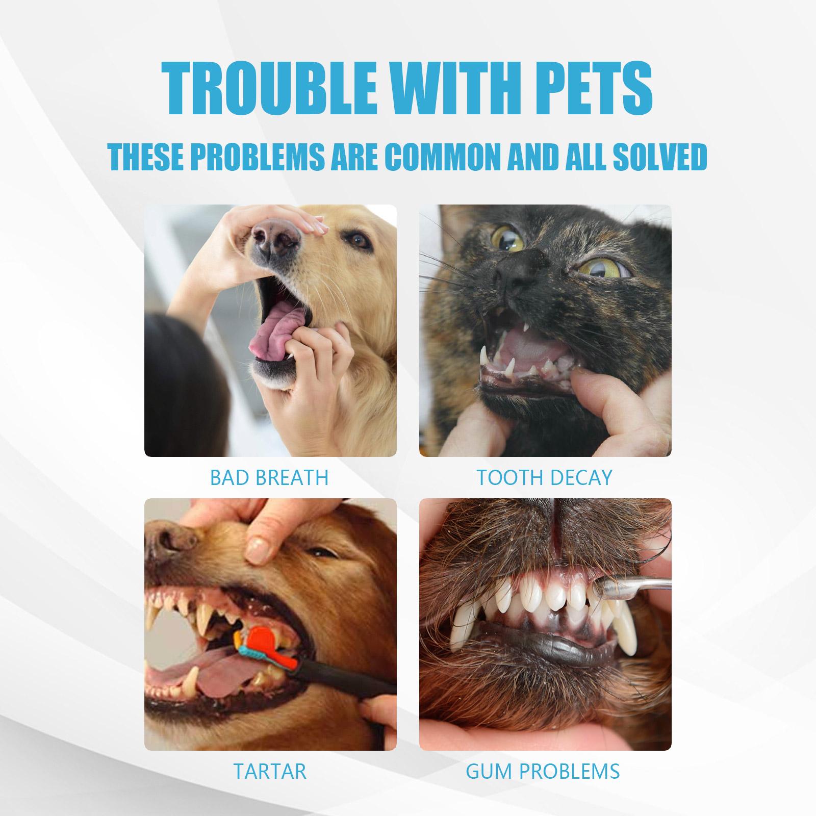 Pet toothpaste - Fresh breath, Eliminates bad breath, Removes tartar, Cleans dog and cat mouths, Edible toothpaste