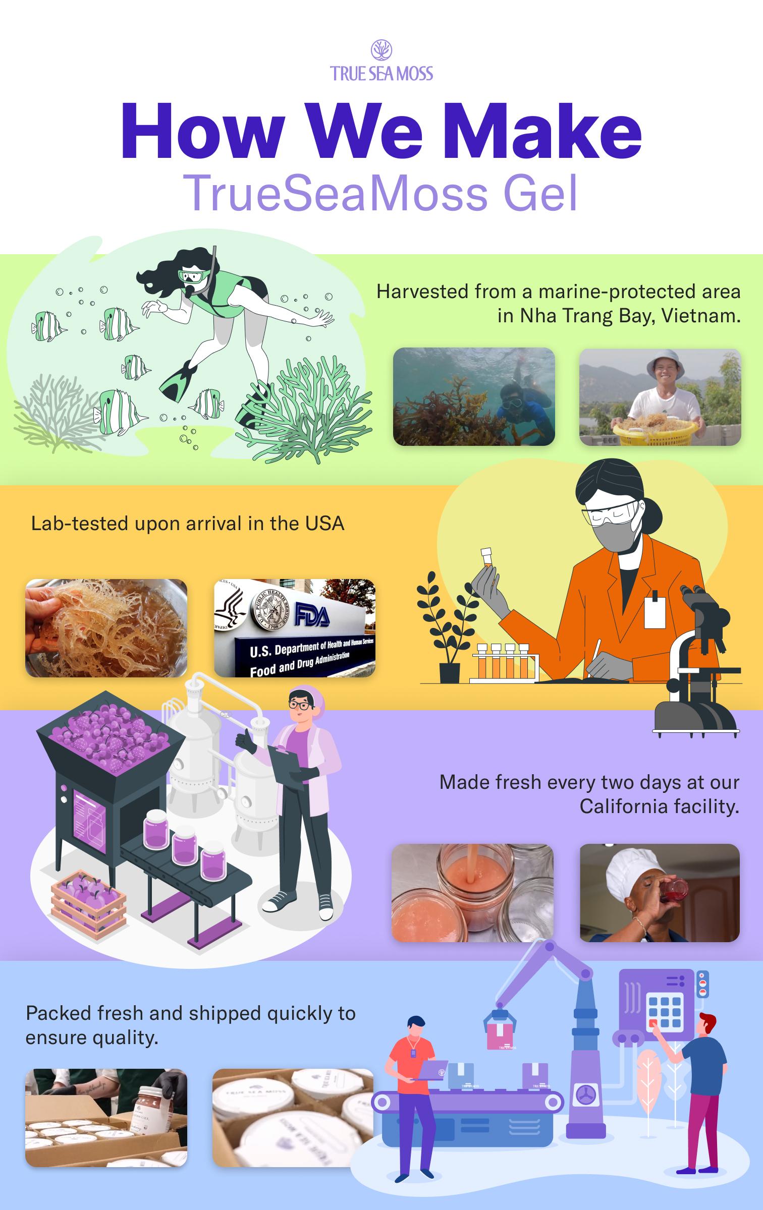 True Sea Moss Sample Sea Moss Gummies – 14 Pieces