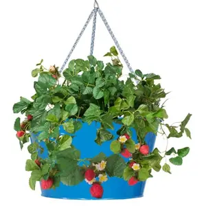 Houston International Trading  Enameled Galvanized Hanging Strawberry & Flower Planter, Blue