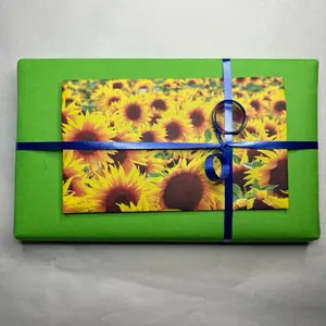 Light Reading Bundle - blind date with a book Light Reading Bundle - blind date with a book