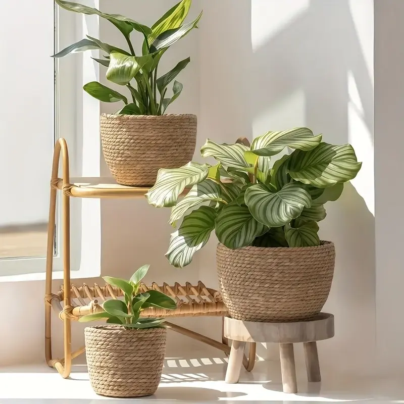Three Sets of Decorative Indoor Plant Pots, Natural Flower Pot Covers, Stylish Planter Baskets for Home Decor, Rattan Planter, Indoor Planters