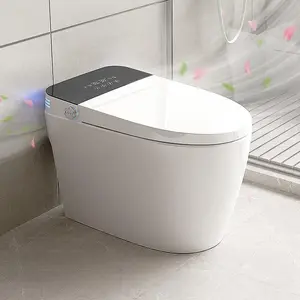 Smart Toilets with Heated Bidet Seat Portable Toilet with Bidet Built Intelligent Auto Open Close Seat Dryer Warm Water Modern Sensor - Switch