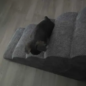 Dog Stairs Ramp for Small Dogs and Cats 5-Step Curved Pet Steps with High-Density Foam for Puppy and Older Cats Indoor Ramp Stairs for Couch High Beds Sofa Chairs Grey