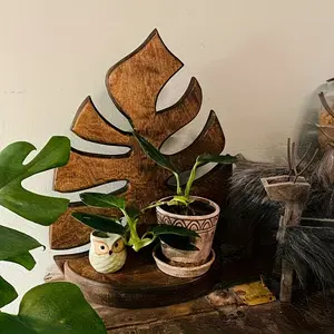 Wooden Leaf-Shaped Wall-Mounted Storage Rack with Hooks, Wide Leaves Design, Space-Saving Decorative Shelf for Living Room