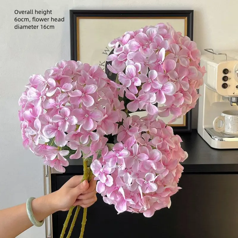 3 light pink Eisa hydrangeas