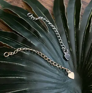 Necklace, bracelet extender