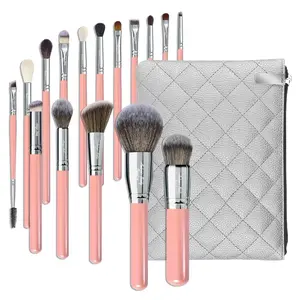 Pink Makeup Brush Set 16 pcs with cosmetic Bag