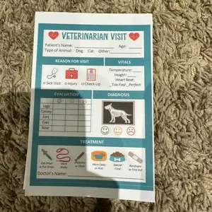 Vet Visit Pretend Notepads for Kids - Interactive Vet Visit Notepads with Dog Cat and Other Animals - Perfect for Role Play and Learning