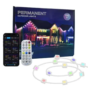 50ft/100ft Outdoor String Light, 1 Box RGBIC Smart Eave Light, Waterproof Outdoor Light with APP & Voice & Remote Control, Ideal for Year-round Roof Lighting