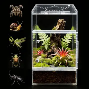 Small Acrylic Jumping Spider Enclosure Tarantula Terrarium Box with Magnetic Front & Top Opening Bug Habitat for Jumping Spiders Tarantulas Praying Mantis Snails