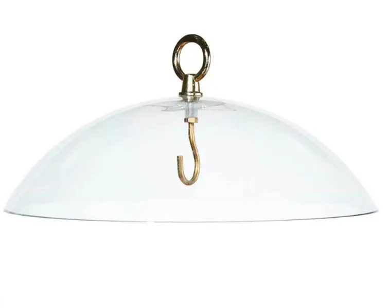 Clear Dome