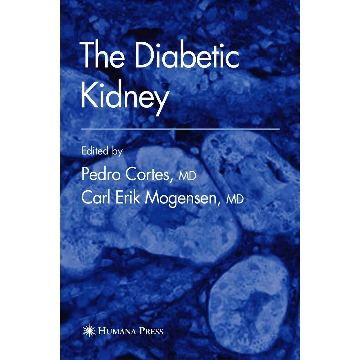 The Diabetic Kidney - (Contemporary Diabetes) by Pedro Cortes (Paperback)