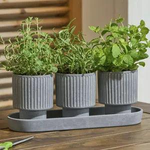 Gray 4-Piece Ceramic Herb Planter with Three Containers and Base