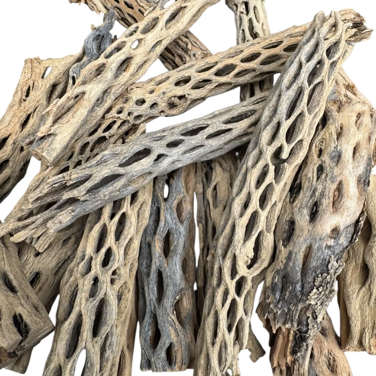 Natural Cholla Wood for Shrimp Aquariums & Terrariums | Aquarium Hardscape Decor