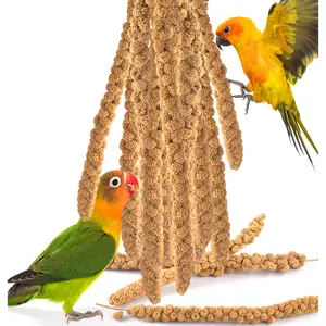 KATUMO Spray Millet Treats, 7Oz \/ 200g Natural Sun-Dried Bird Treats Parakeet Treats for Conure Cockatiel Finch Pigeon Hamster Millet Spray