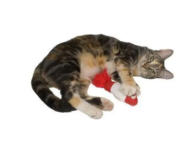 Imperial Cat 01088 6-1/2" Bobber Catnip Toy with Organic Catnip