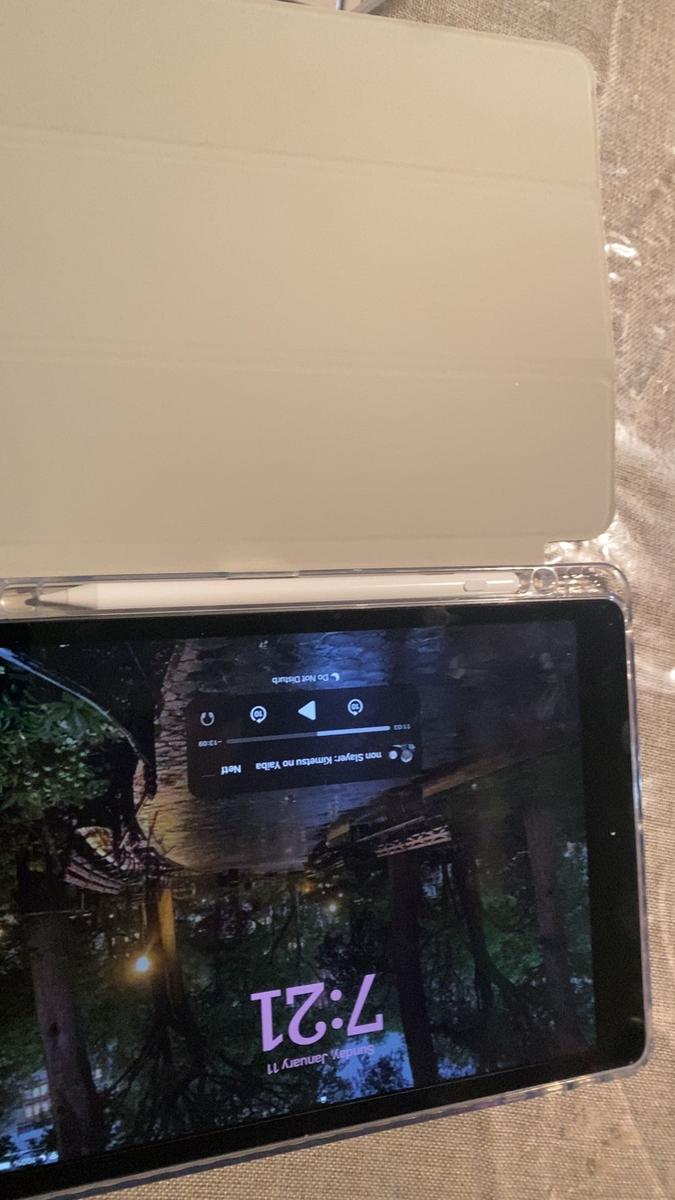 Item: color, iPad 7th/8th/9th (10.2inch) 