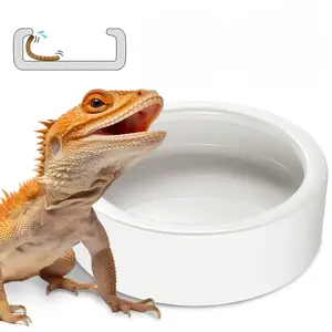 Ceramic Food Bowl for Reptiles, High-Sided Gecko Feeder, Anti-Escape Cricket Dish, Durable Ceramic Material, Ideal for Pet Owners