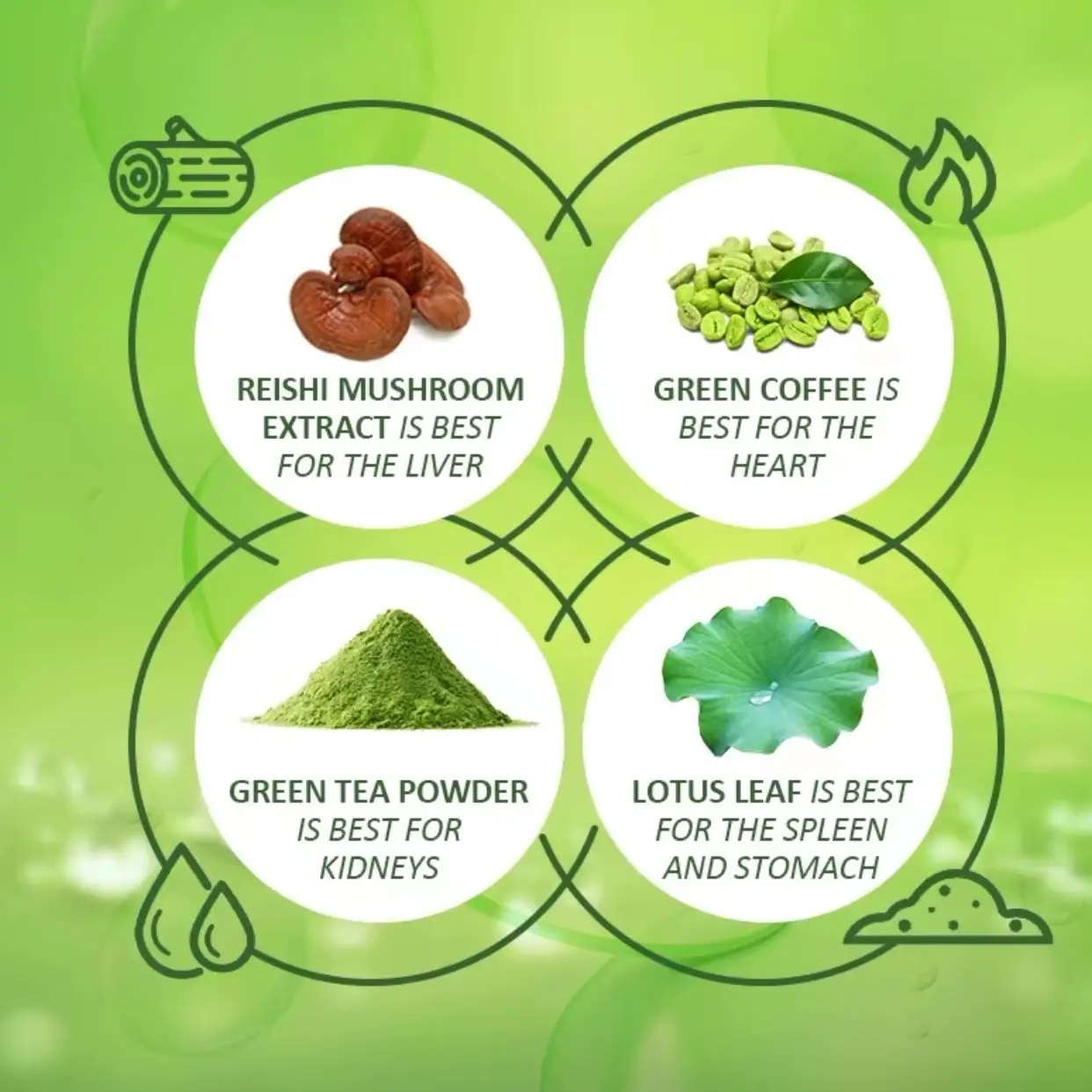 Boost Energy Coffee Powder - Organic Green Coffee for Digestive Well-being