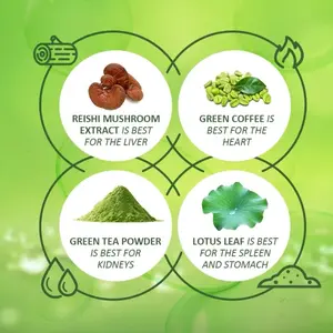 Boost Energy Coffee Powder - Organic Green Coffee for Digestive Well-being