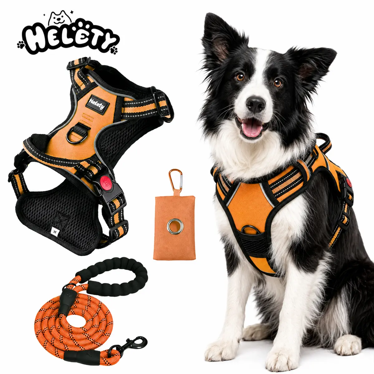 Helety 3-in-1 Dog Harness Set with 59 in Leash and Poop Bag Holder, Adjustable Vest Harness Walking Kit for Small Medium Large Dogs