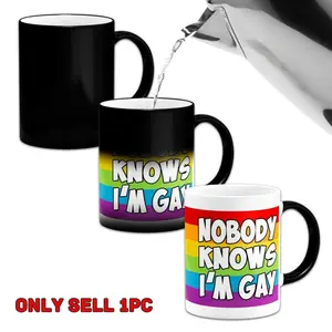 I'm Gay Mug, Funny Mug, Novelty Coffee Mug, 1 Count Color-changing Heated Water Cup, Reusable Coffee Cup, Ceramic Drinkware, Drinkware Gift for Coffee Cup Lovers & Unique Cup Collectors, Ceramic Mugs
