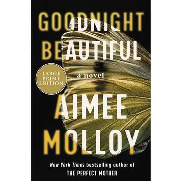 USED Book - Goodnight Beautiful by Molloy, Aimee (Paperback) - english